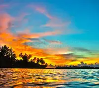 包含马尔代夫劲旅勇猛作战，获得榜首的词条